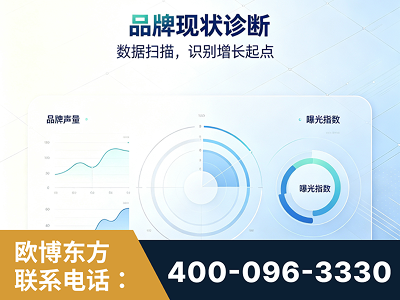 阿拉善-品牌现状诊断