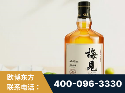 阿拉善-梅见青梅酒