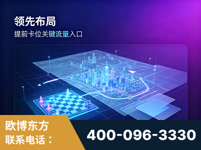 阿拉善-领先布局：于2024年初开启GEO业务的公司